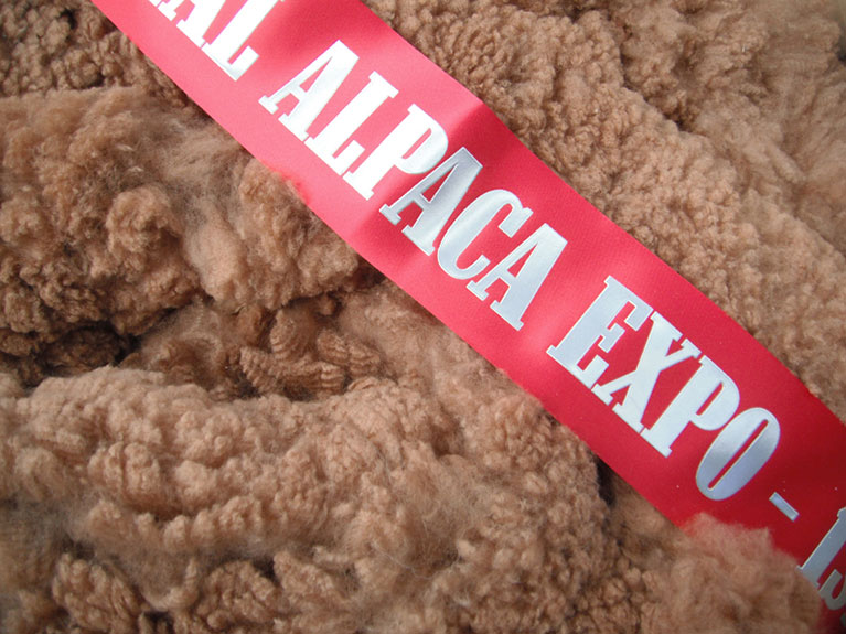 Hat-Trick-1st-fleece-class-Expo-20141